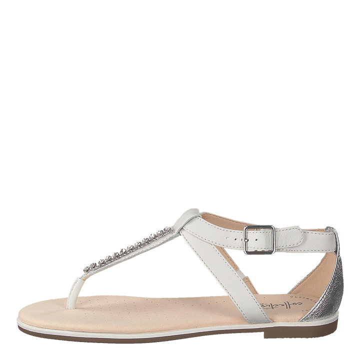 Bay Poppy White Silver