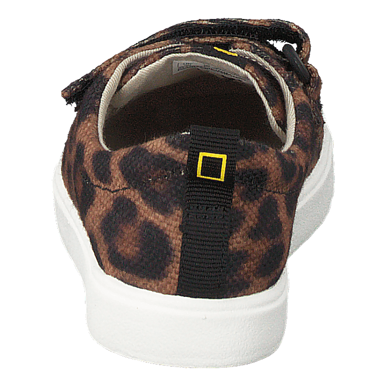 City Geo T Brown Cocmbi