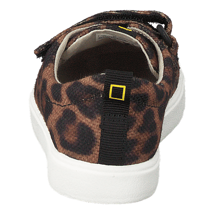 City Geo T Brown Cocmbi