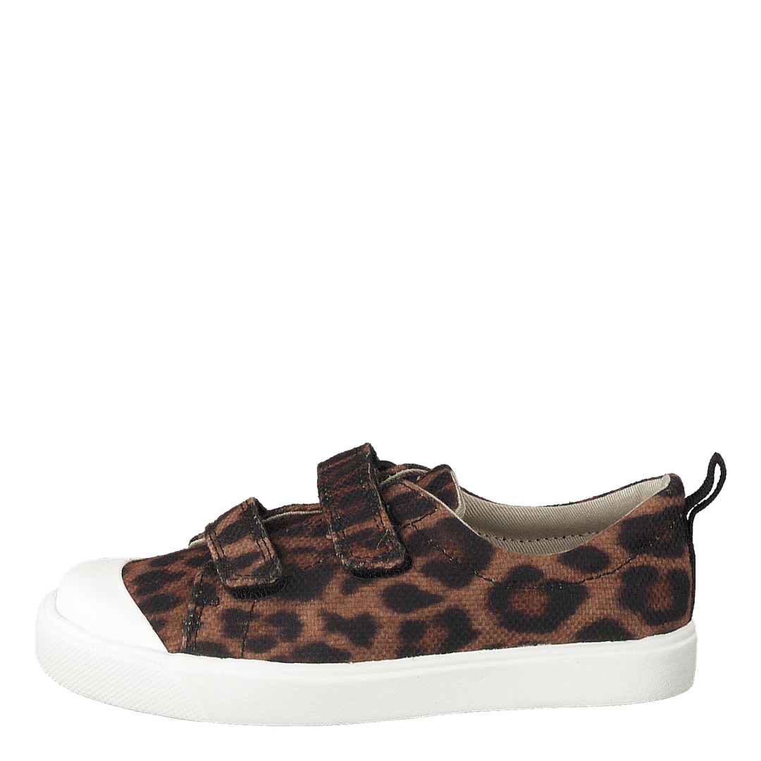 City Geo T Brown Cocmbi
