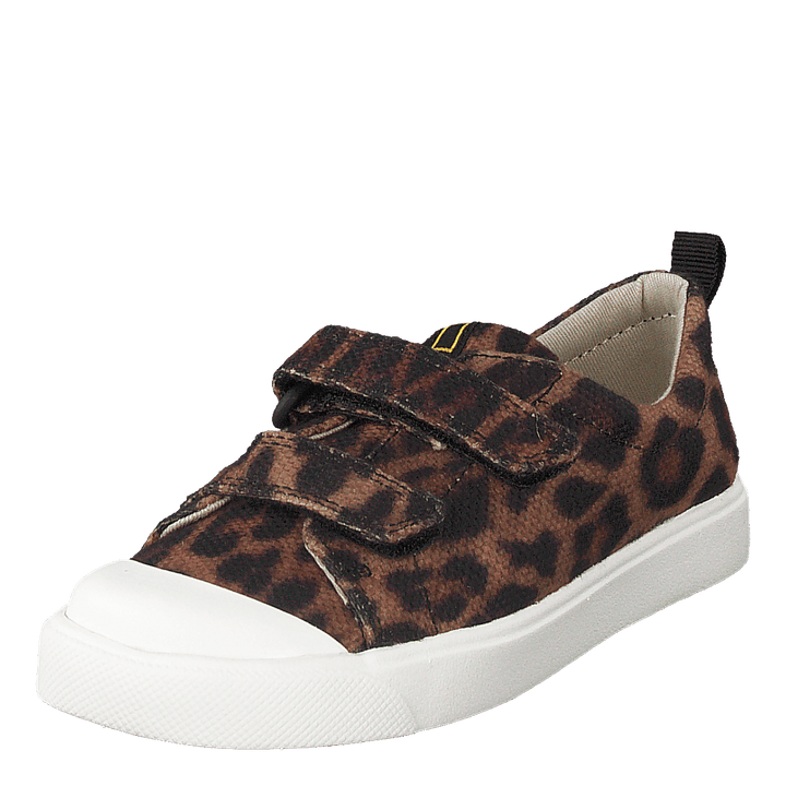 City Geo T Brown Cocmbi