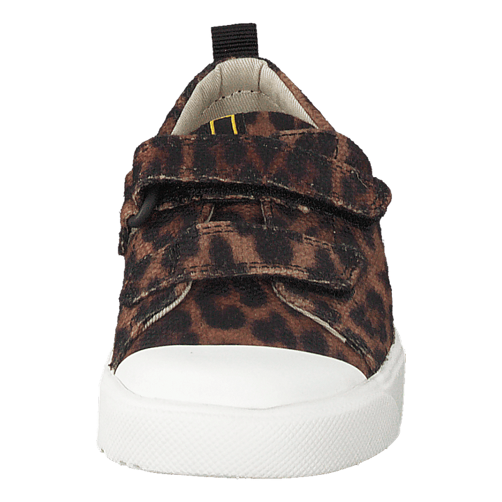 City Geo T Brown Cocmbi