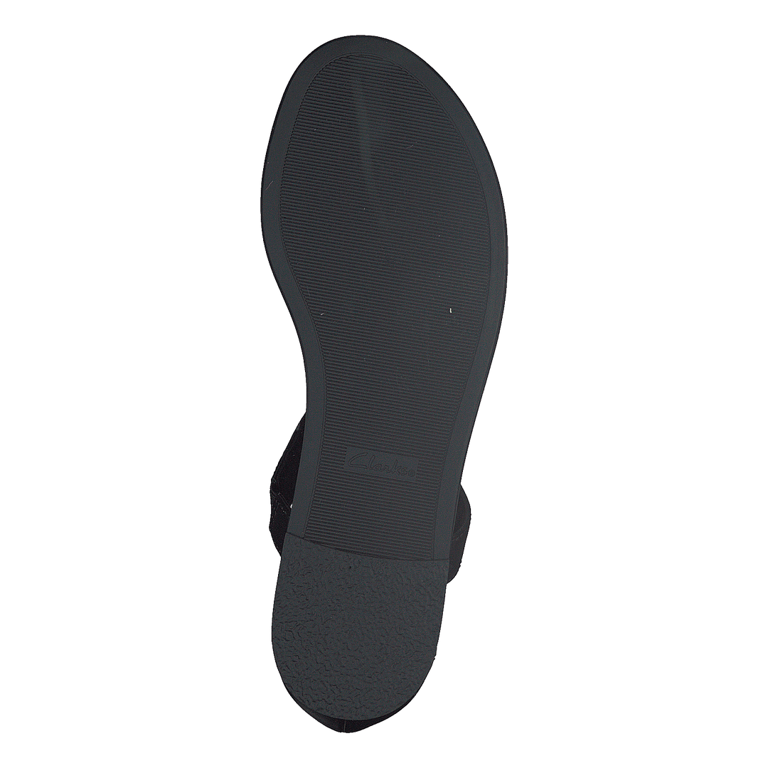 Bay Poppy Black Interest