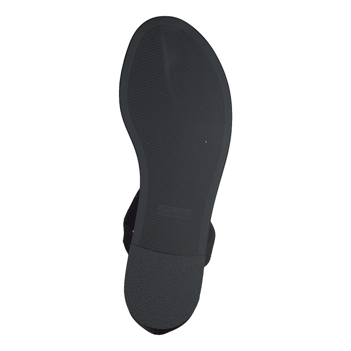 Bay Poppy Black Interest