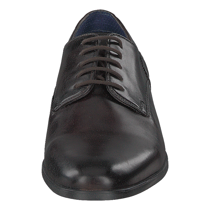 Zenobio Dark Brown - Heppo.com