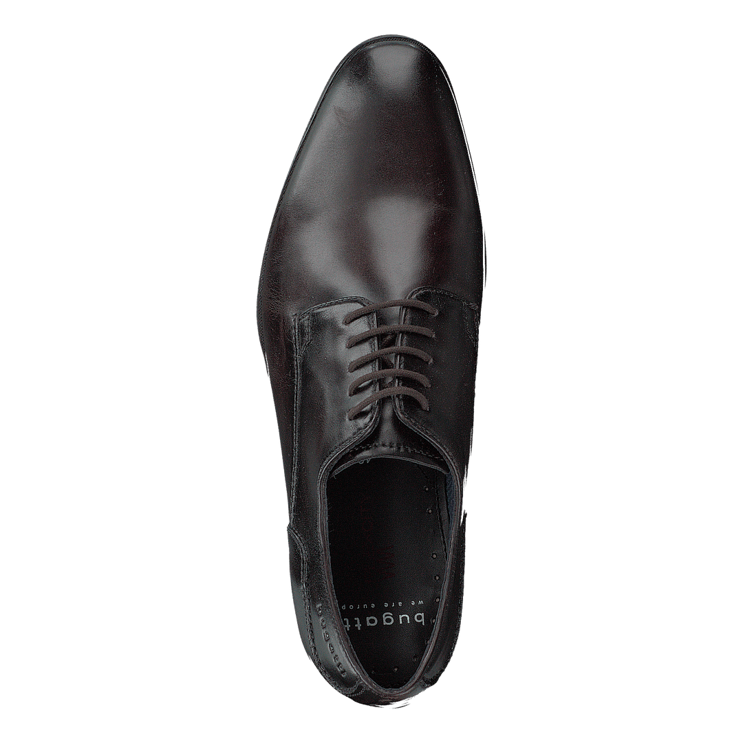 Zenobio Dark Brown - Heppo.com