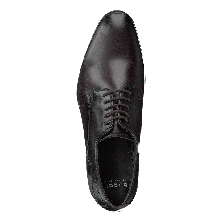 Zenobio Dark Brown - Heppo.com