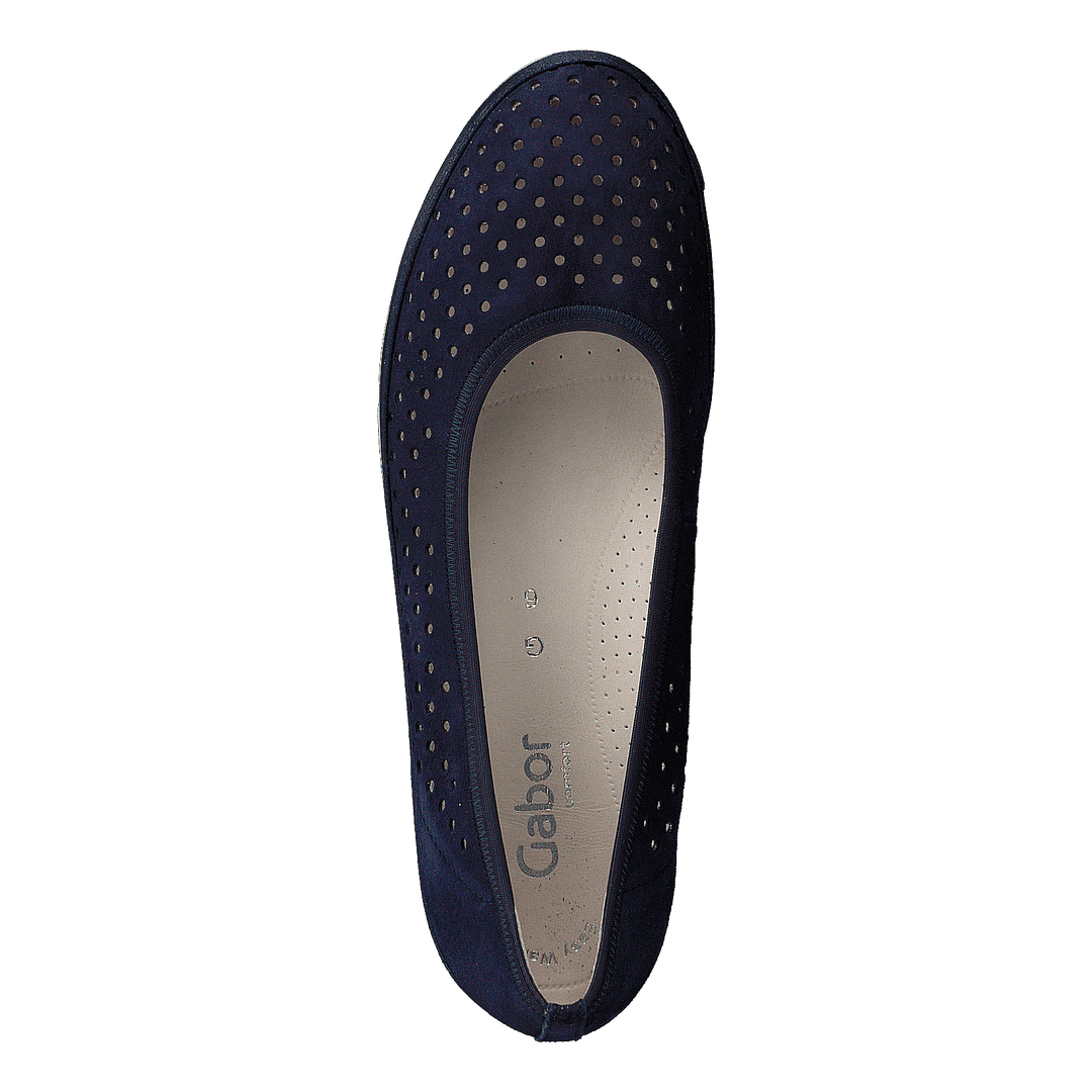 22.401-36 Bluette