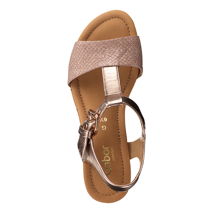 22.824-13 Daino/rame