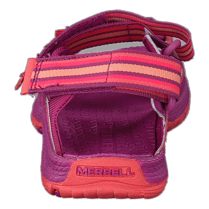 Hydro Blaze Purple/coral