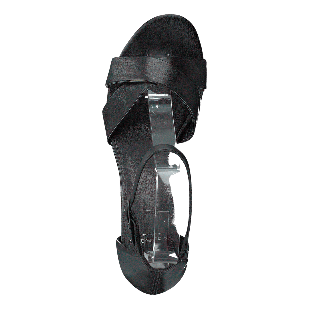 Carol 4737-001-20 Black