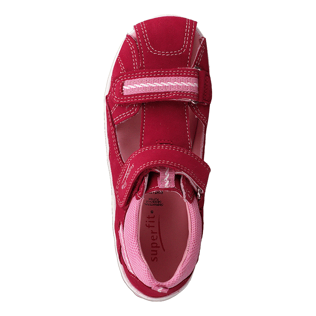 Fanni Red/Pink