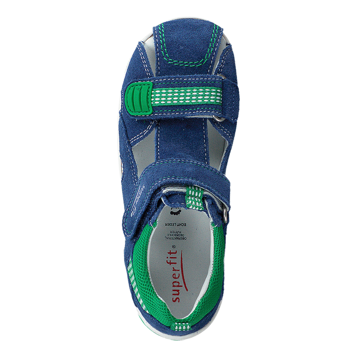 Freddy Blue/Green