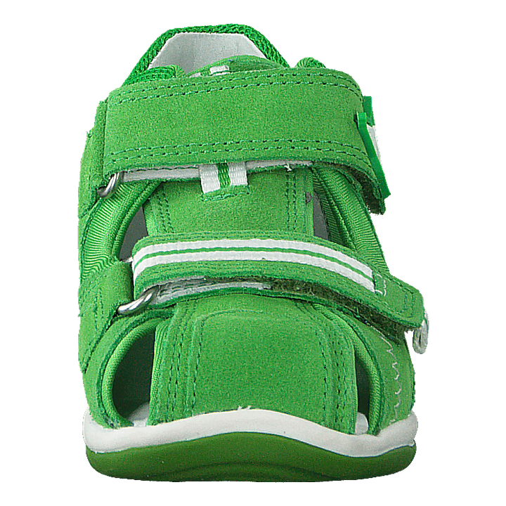 Freddy Green