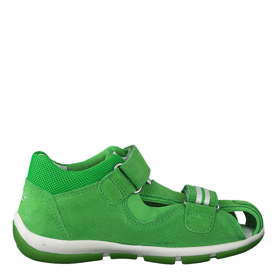 Freddy Green