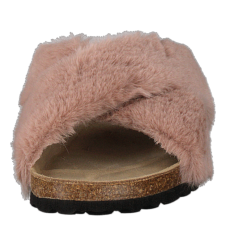 Slipper Rose