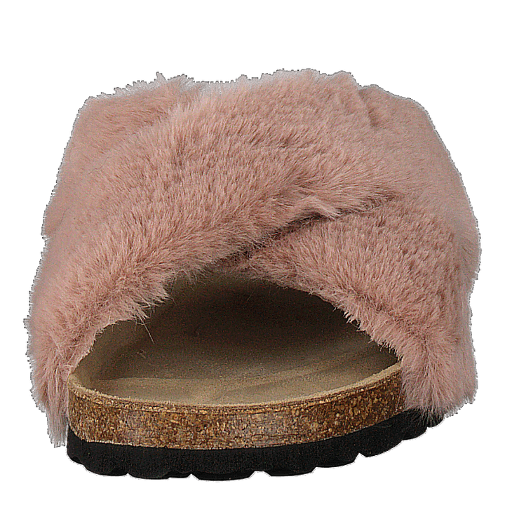 Slipper Rose