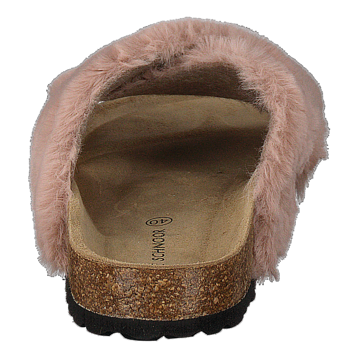 Slipper Rose