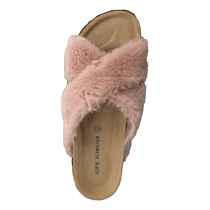 Slipper Rose