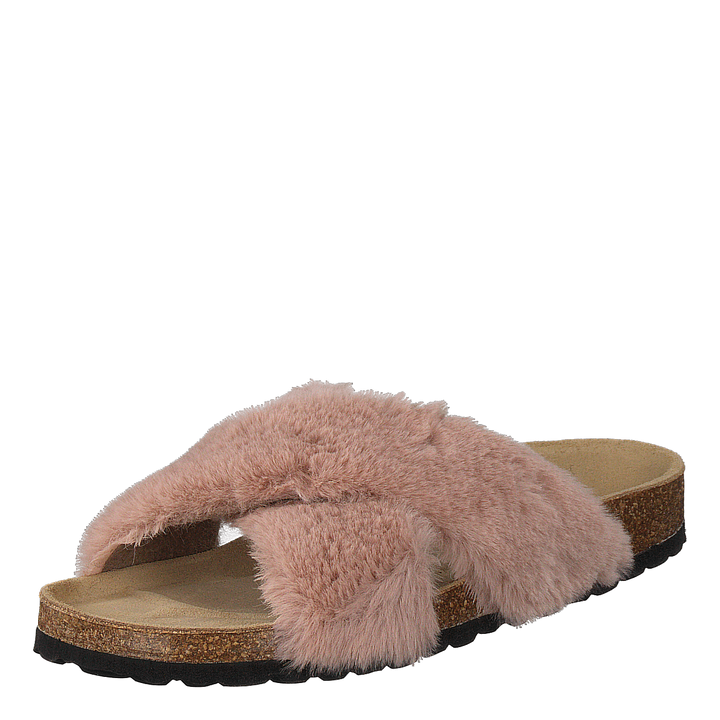 Slipper Rose