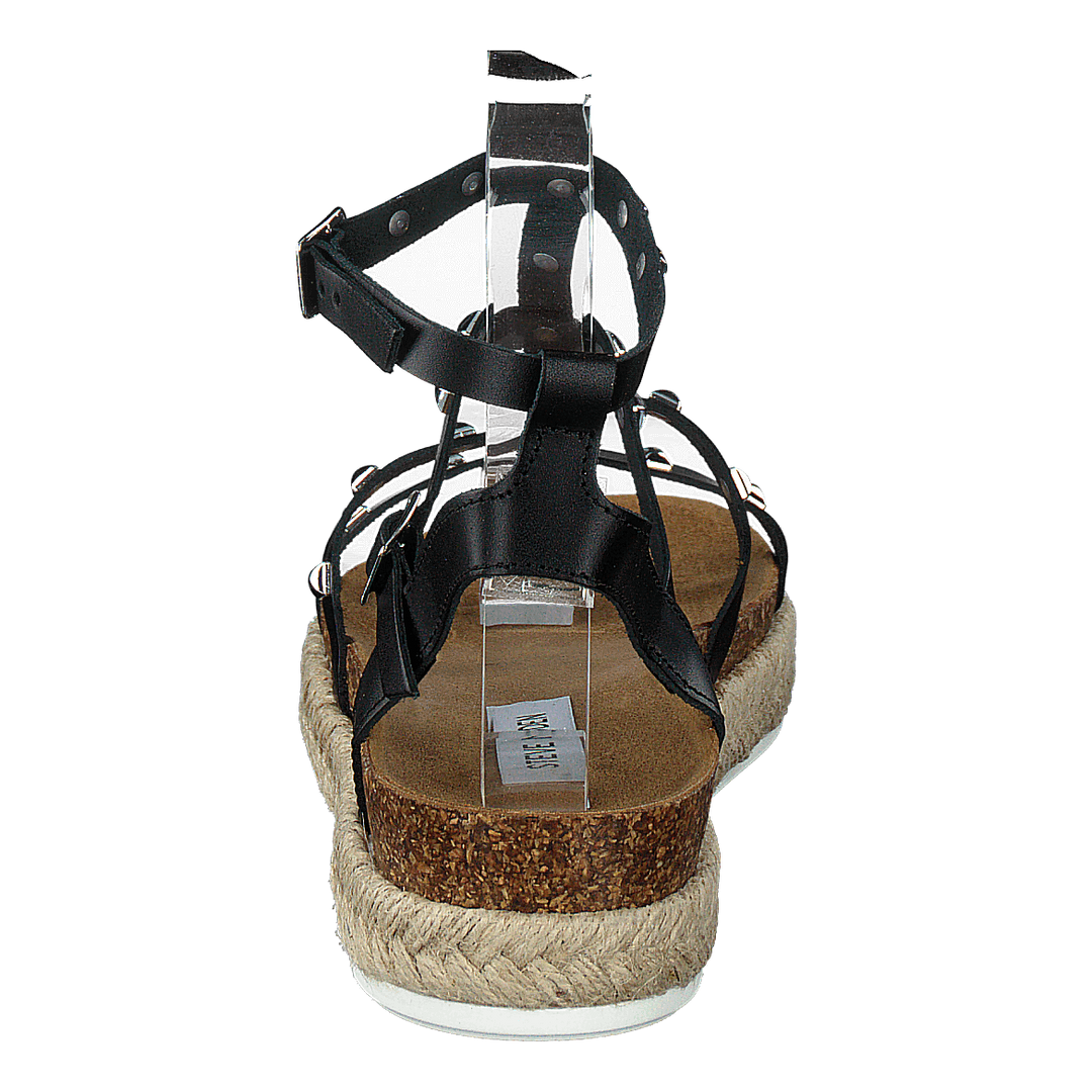 Array Black