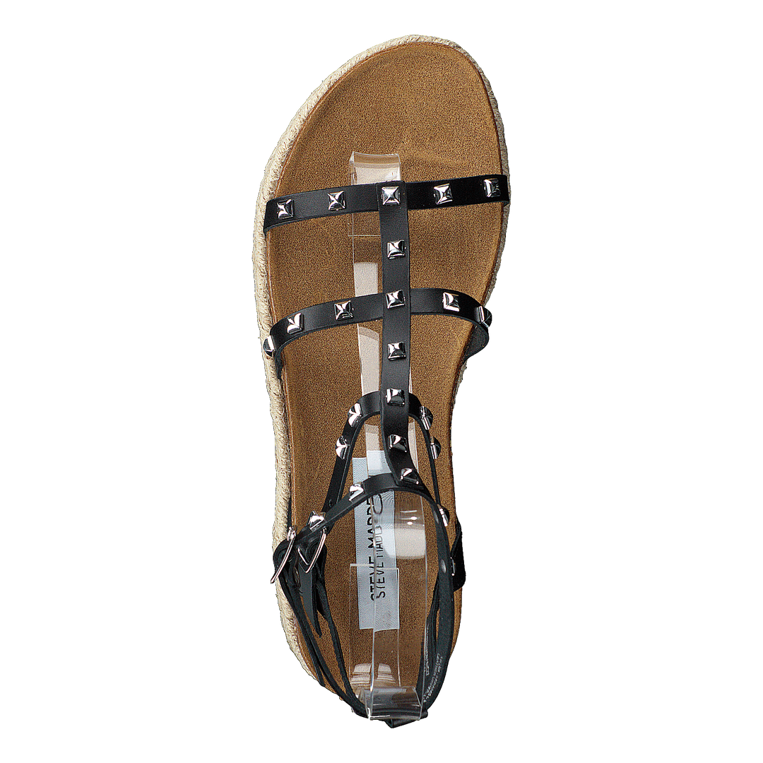 Array Black