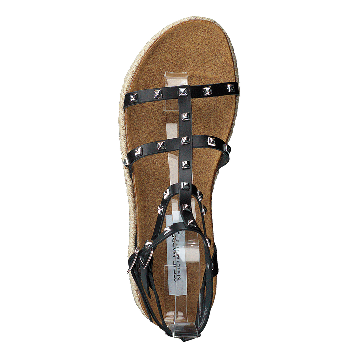 Array Black