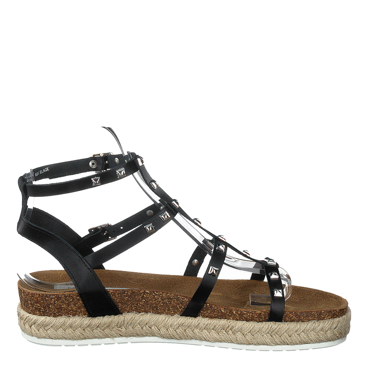 Array Black