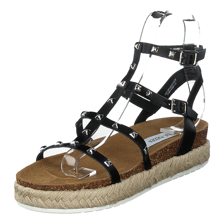 Array Black