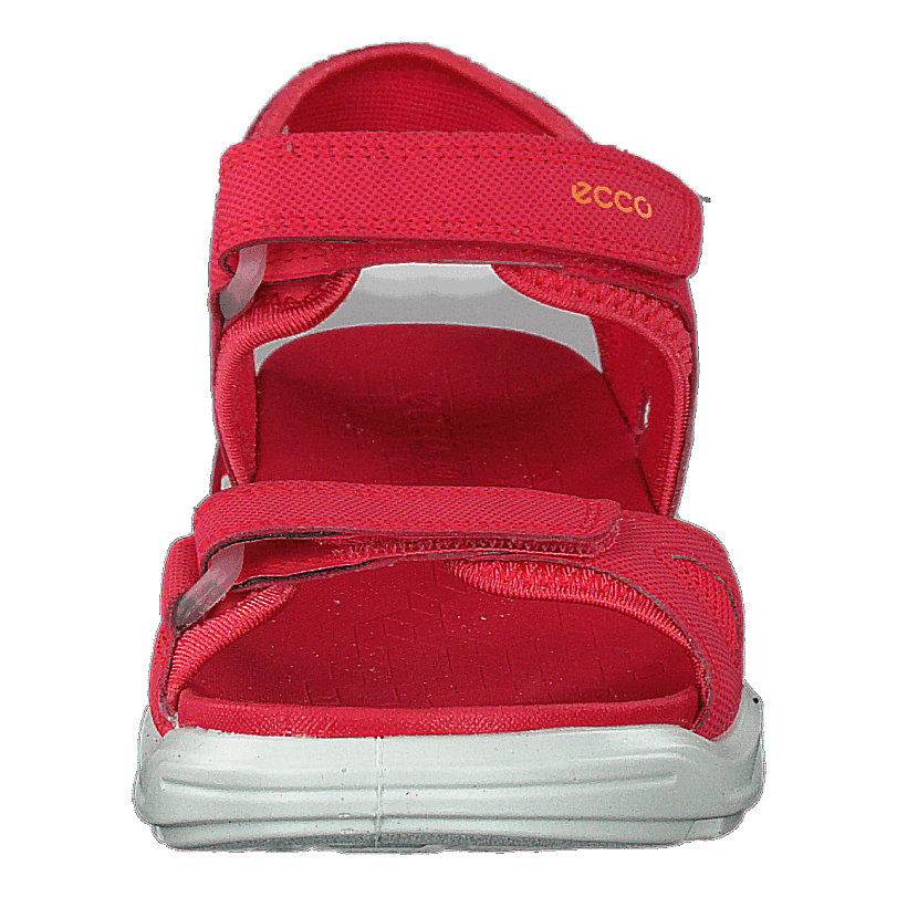 Biom Raft Teaberry