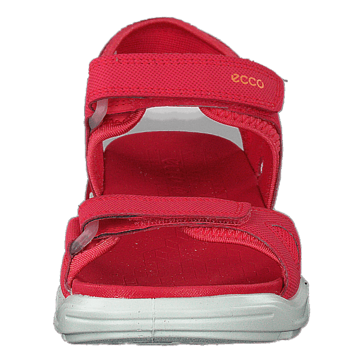 Biom Raft Teaberry