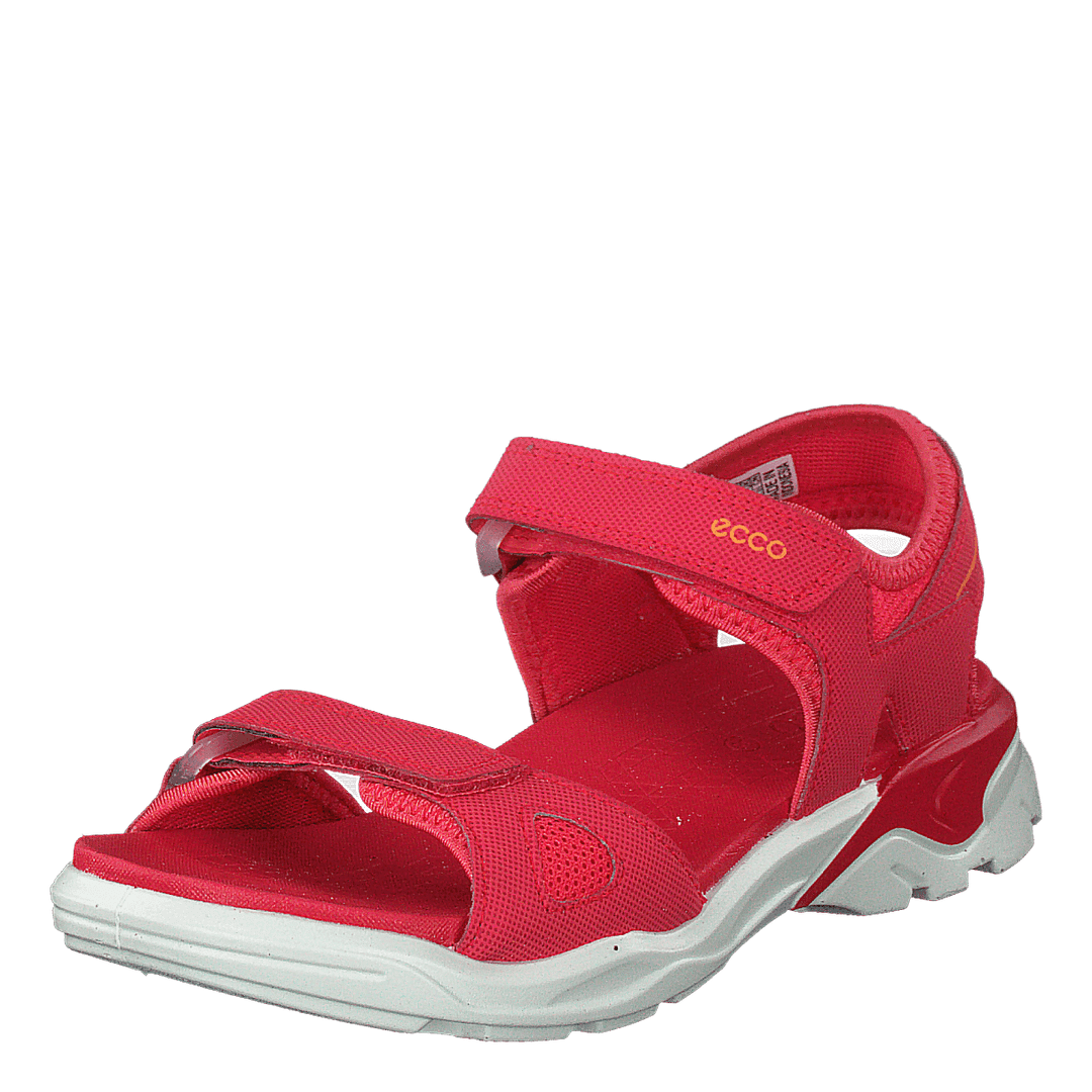 Biom Raft Teaberry