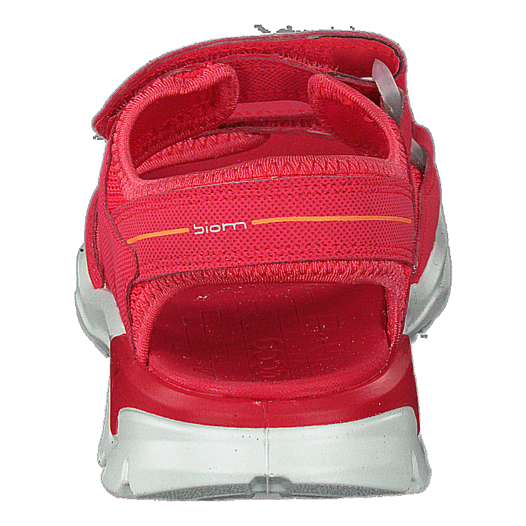 Biom Raft Teaberry