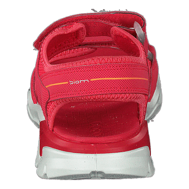 Biom Raft Teaberry