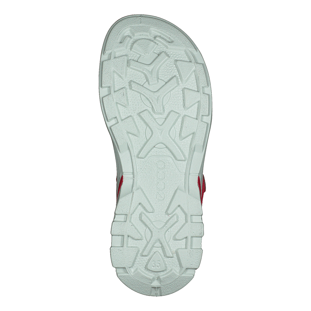 Biom Raft Teaberry