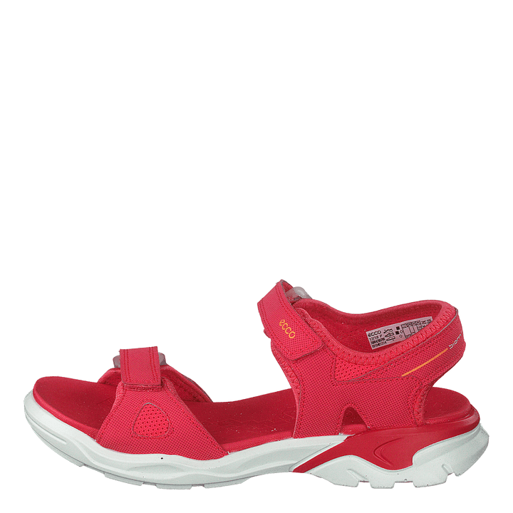 Biom Raft Teaberry