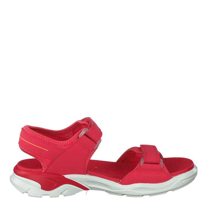 Biom Raft Teaberry