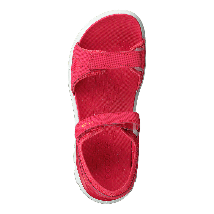 Biom Raft Teaberry