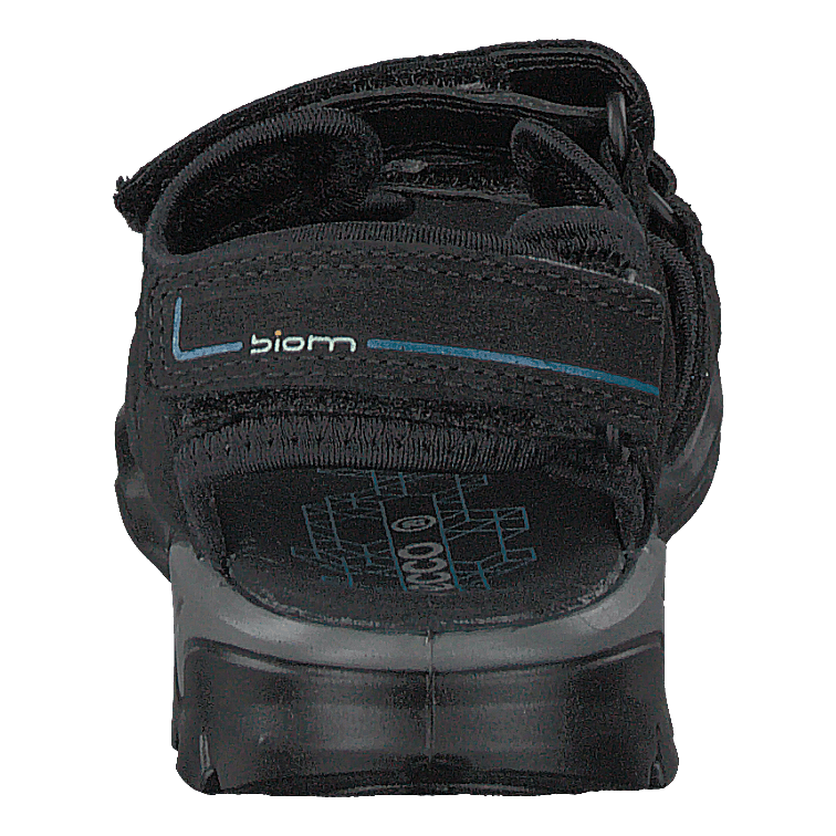 Biom Raft Black