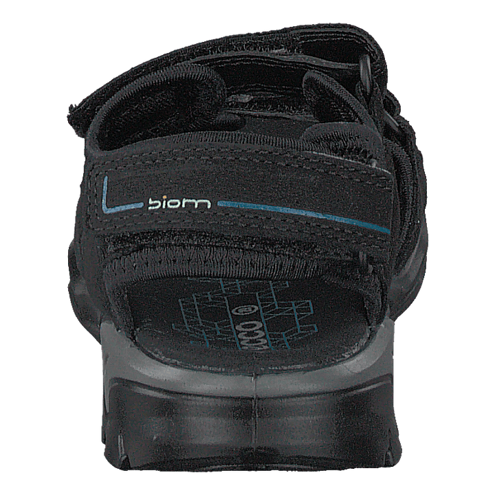 Biom Raft Black