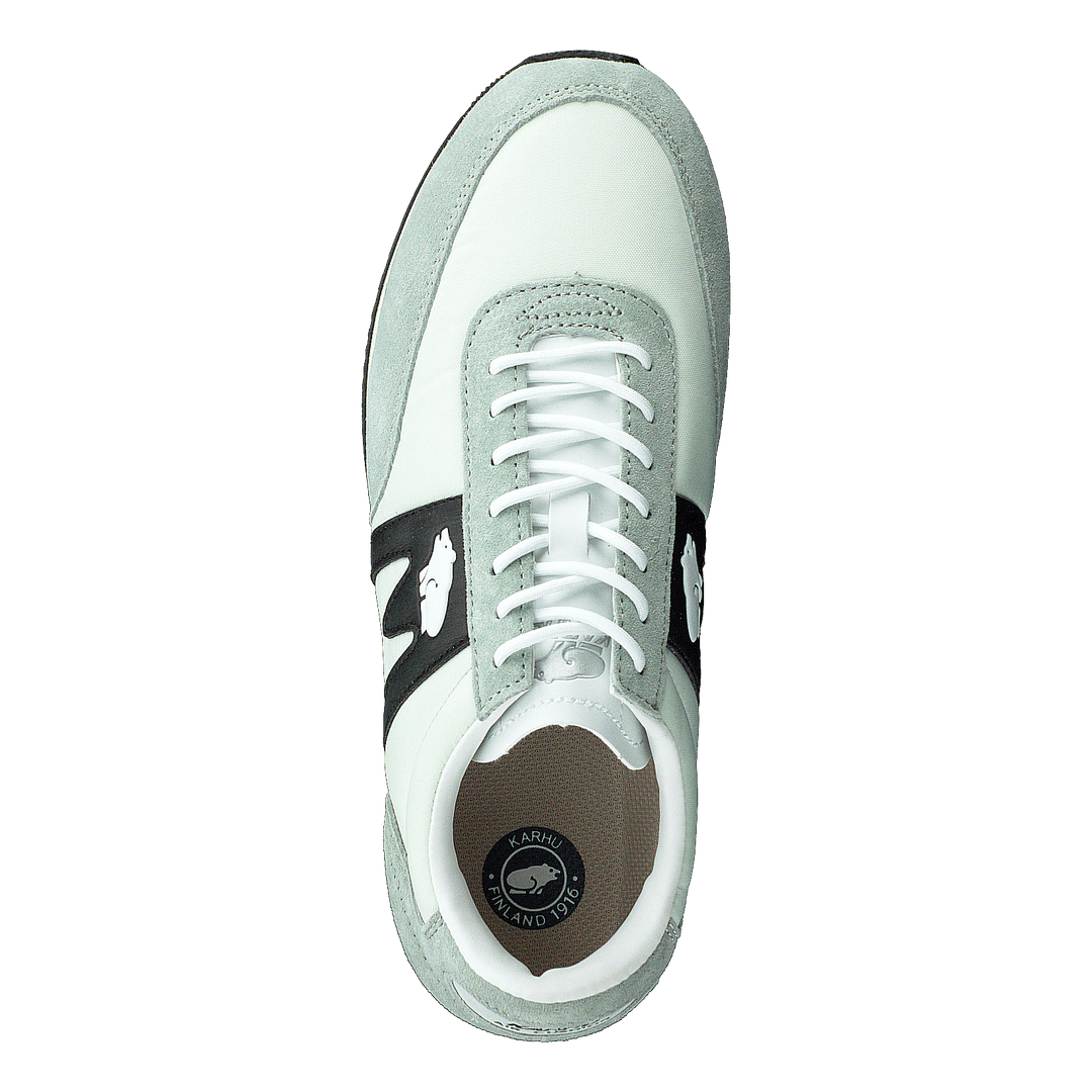 Albatross Blue Flower/jet Black
