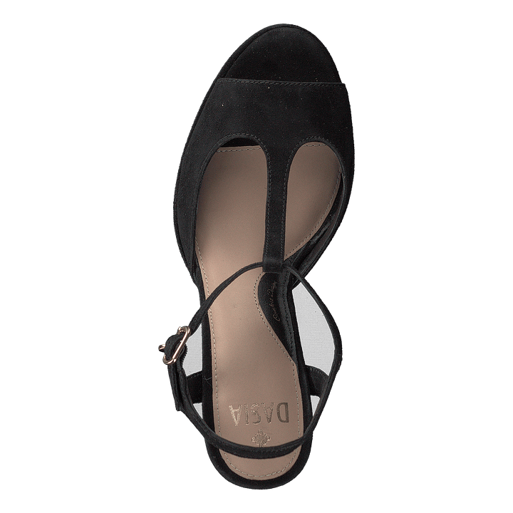 Syringa Black