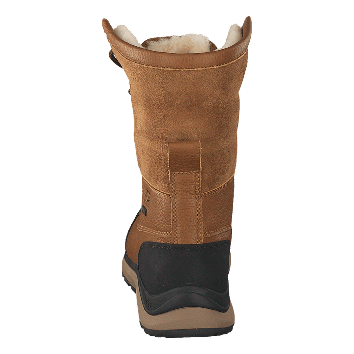 W Adirondack III Chestnut