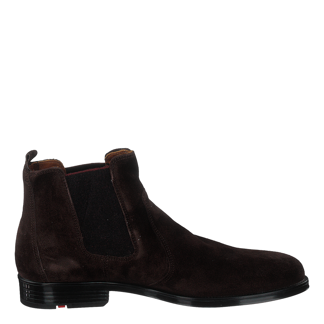 Patron T.d.moro Brown