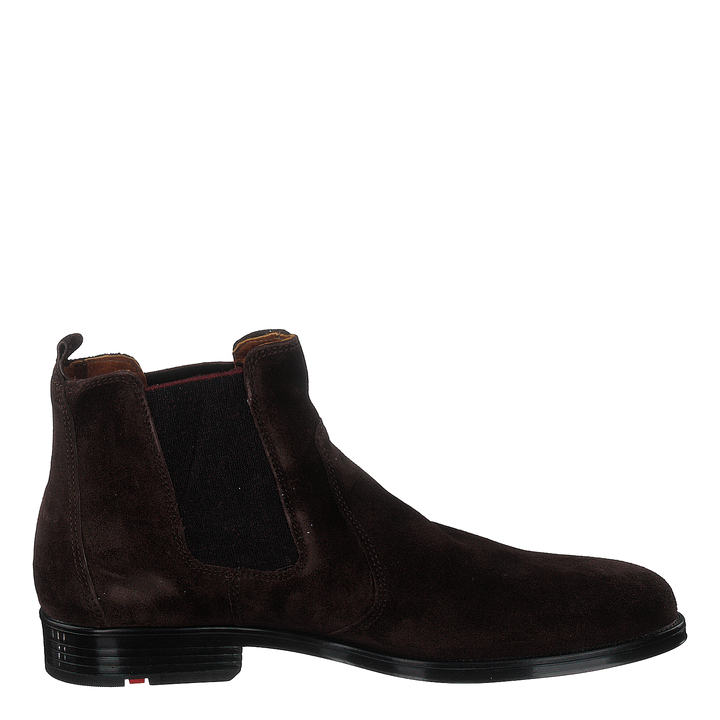 Patron T.d.moro Brown