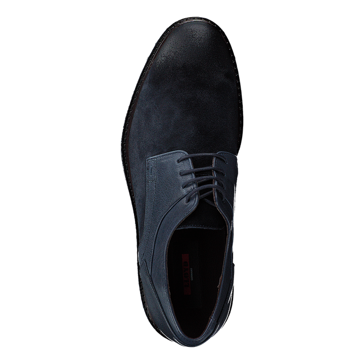 Falk Ocean/ Blue