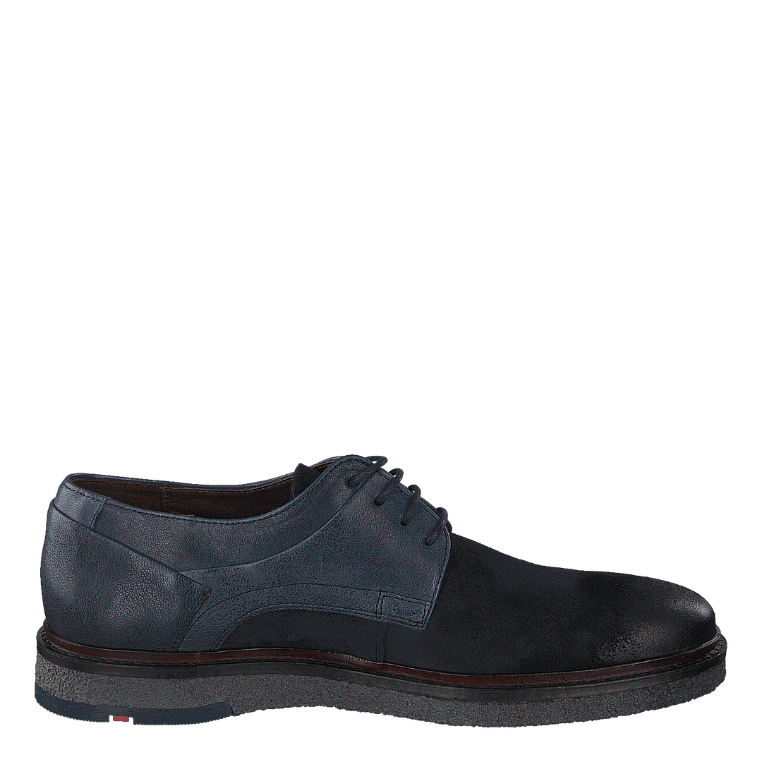 Falk Ocean/ Blue