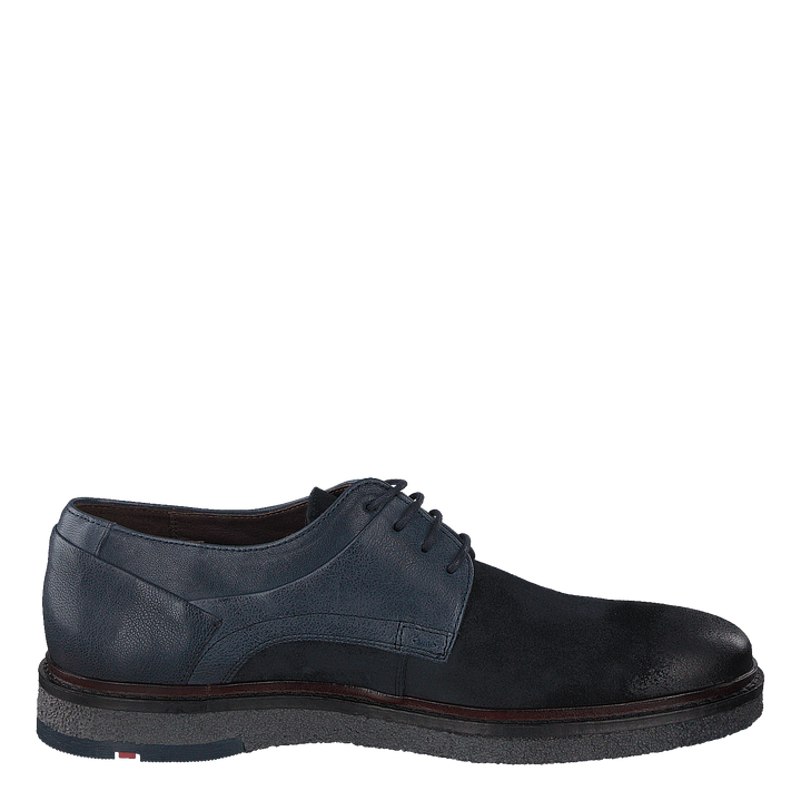 Falk Ocean/ Blue