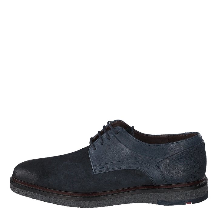 Falk Ocean/ Blue