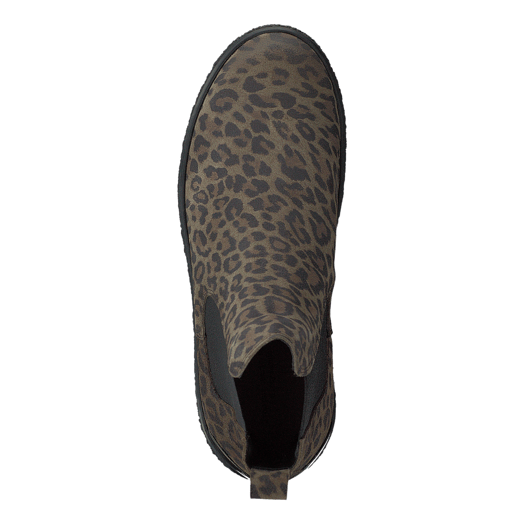 Shallow Olive Leo
